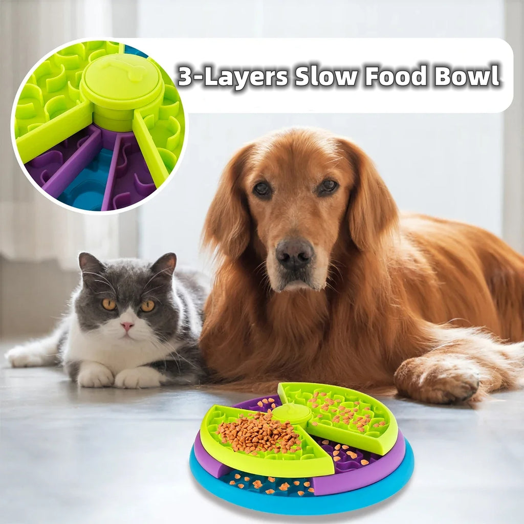 Activiteiten Bord voor Honden